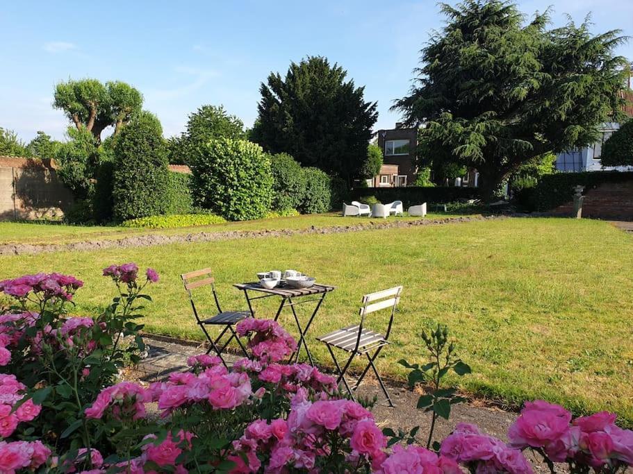 Huyze Lapin Vakantiewoning Brugge Kültér fotó